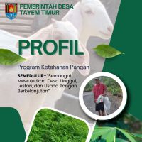 Profil-Desa-Tayem-Timur